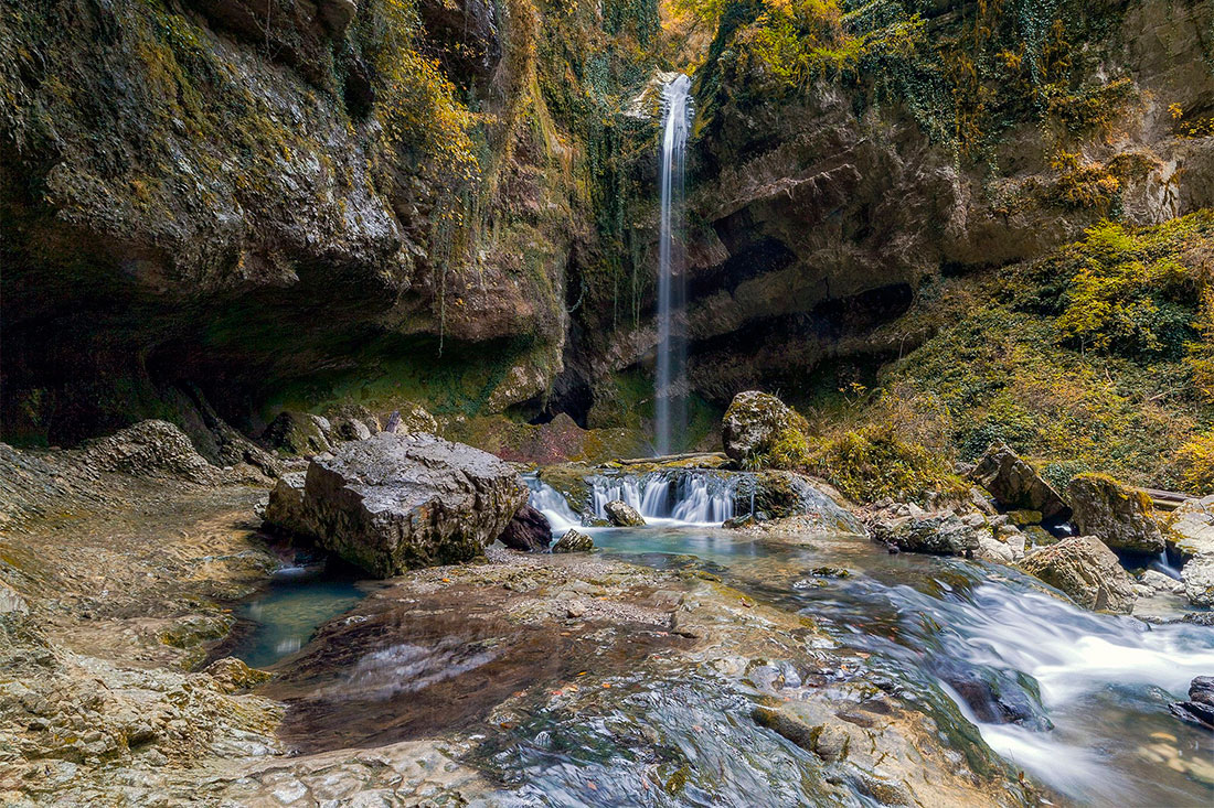 Адлер пасть дракона фото